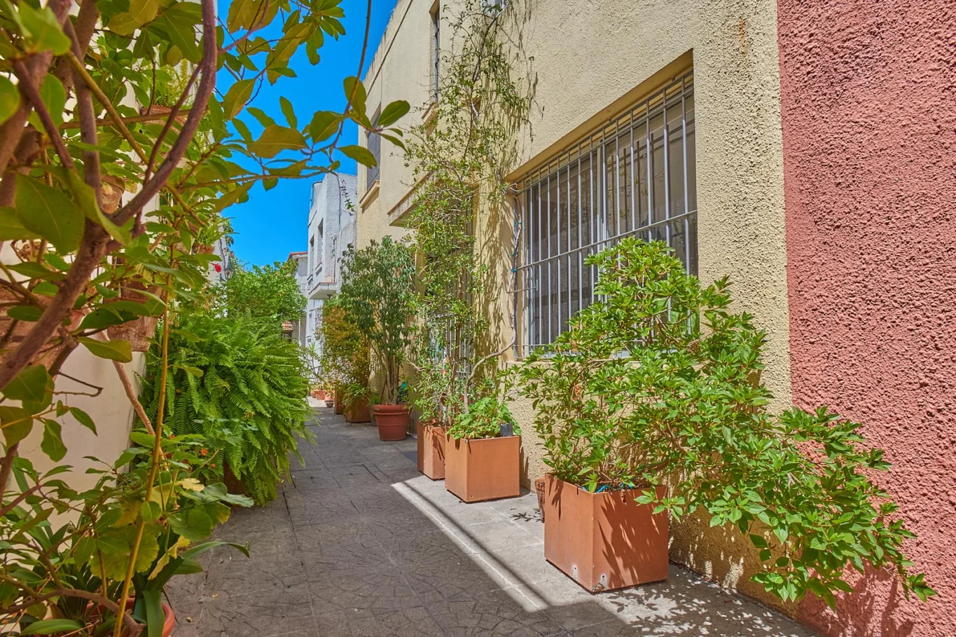 Casa en Punta Carretas, propiedad 295002 -Imagen 3