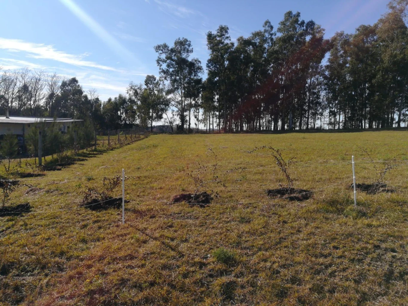 Terreno en Colonia del Sacramento, propiedad 295009 -Imagen 2