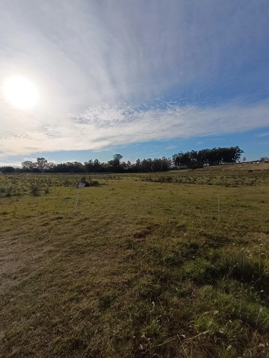 Terreno en Colonia del Sacramento, propiedad 295009 -Imagen 6