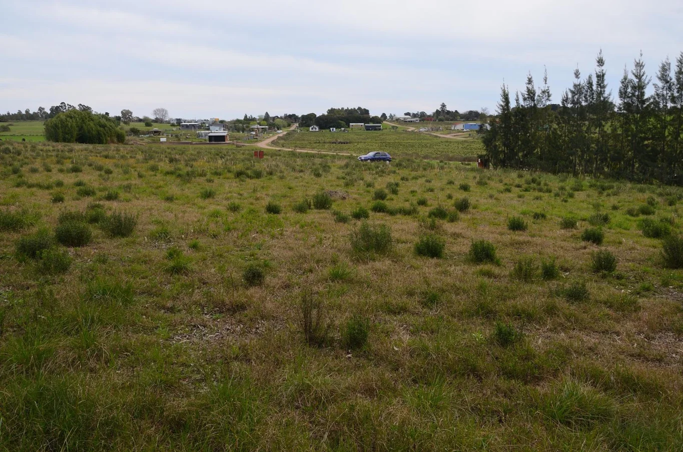 Terreno en Colonia del Sacramento, propiedad 295009 -Imagen 8