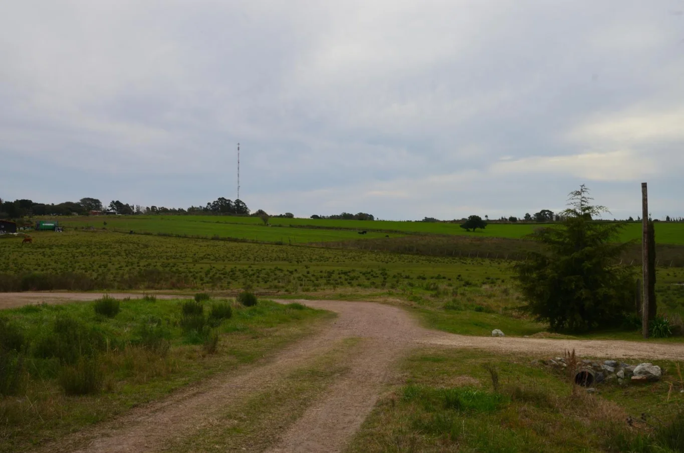 Terreno en Colonia del Sacramento, propiedad 295009 -Imagen 10