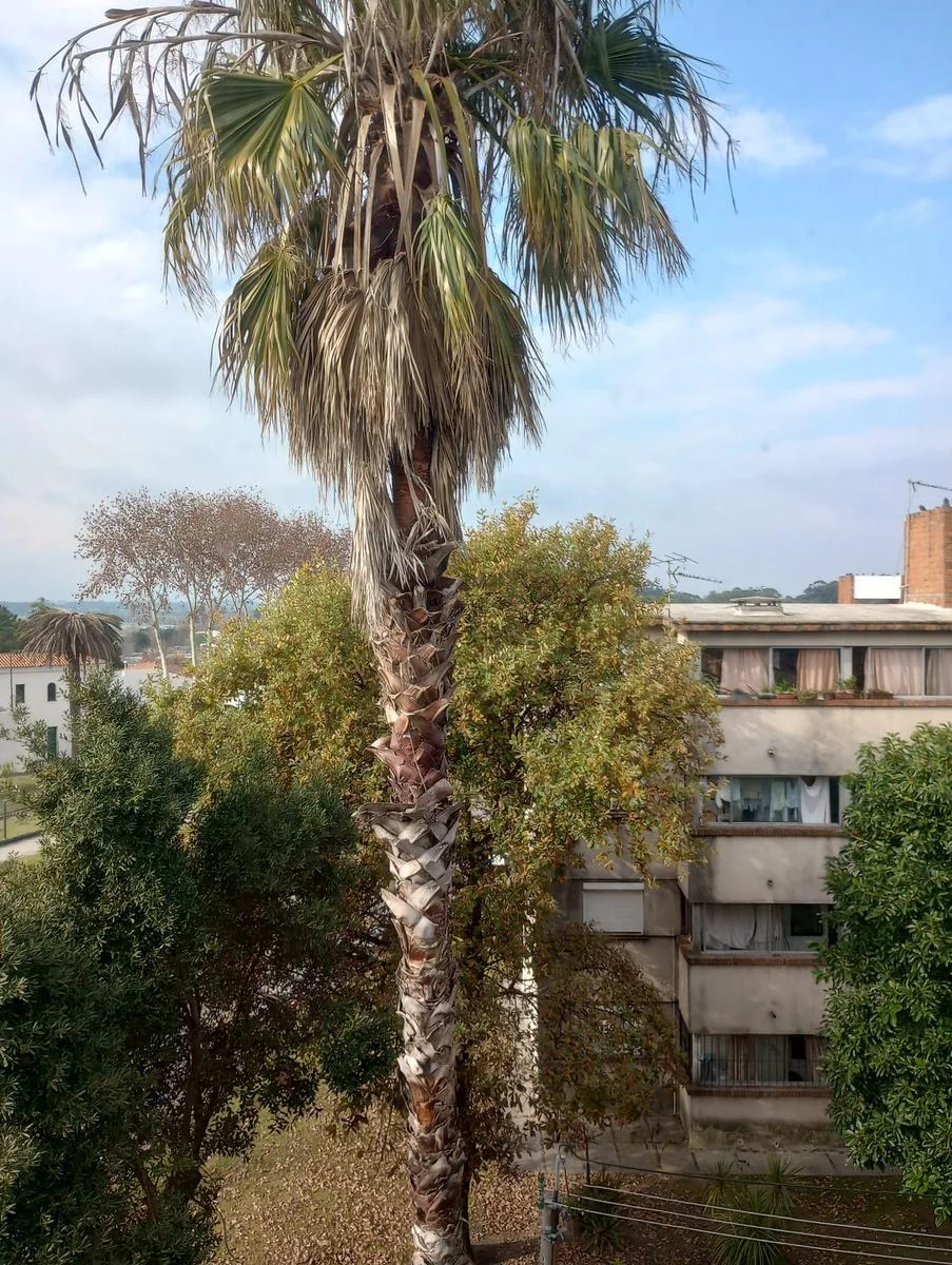 Apartamento en Centro, propiedad 295482 -Imagen 9