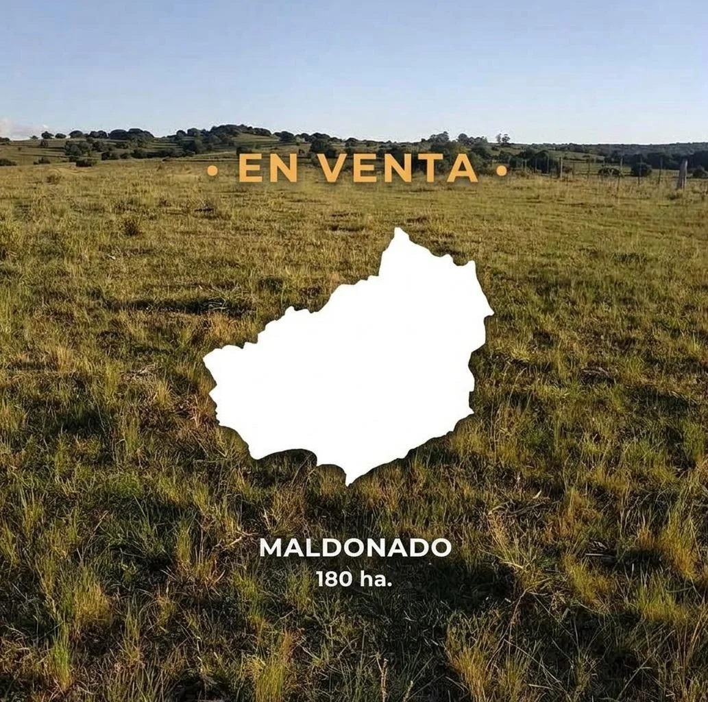 Campo en San Carlos, propiedad 295725 -Imagen 1
