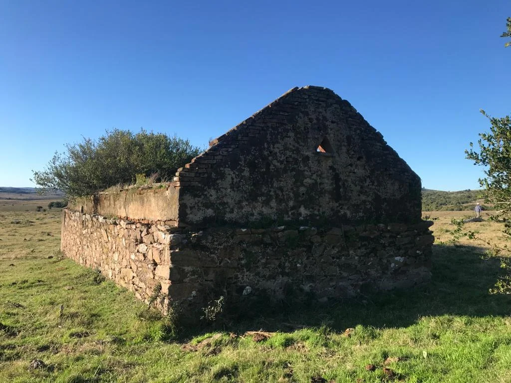Campo en San Carlos, propiedad 295725 -Imagen 5