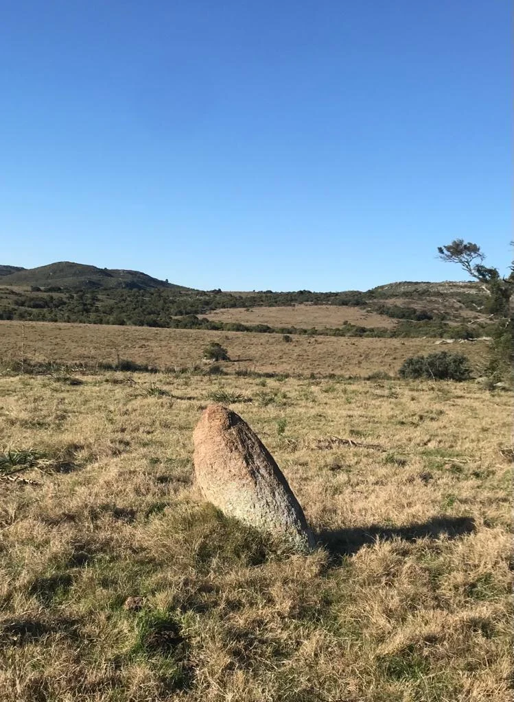 Campo en San Carlos, propiedad 295725 -Imagen 7