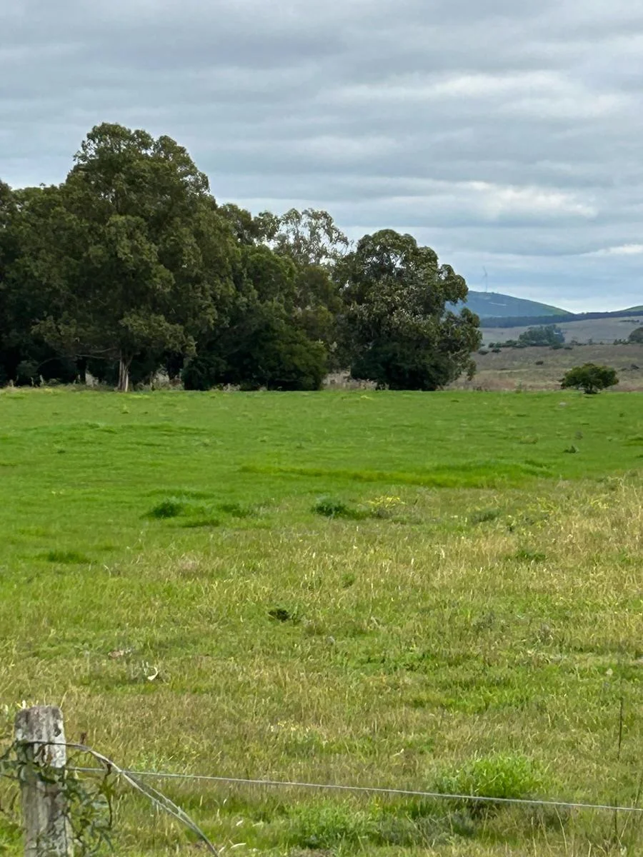 Campo en San Carlos, propiedad 295725 -Imagen 8