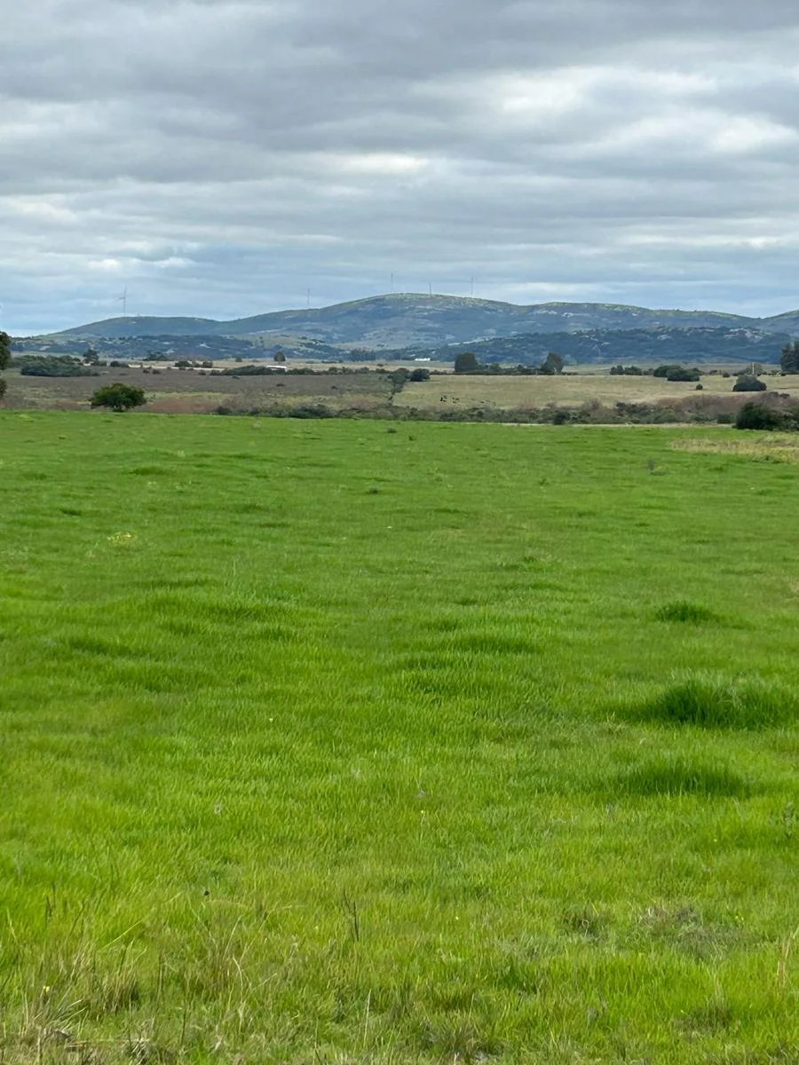 Campo en San Carlos, propiedad 295725 -Imagen 9
