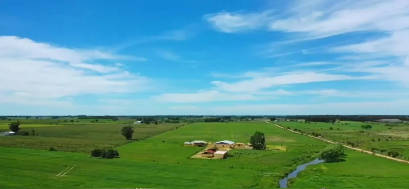 Campo en Santa Rosa, propiedad 295939 -Imagen 4