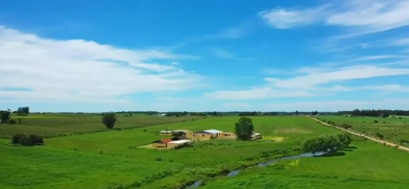 Campo en Santa Rosa, propiedad 295939 -Imagen 5