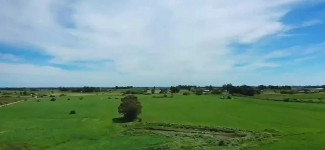 Campo en Santa Rosa, propiedad 295939 -Imagen 7