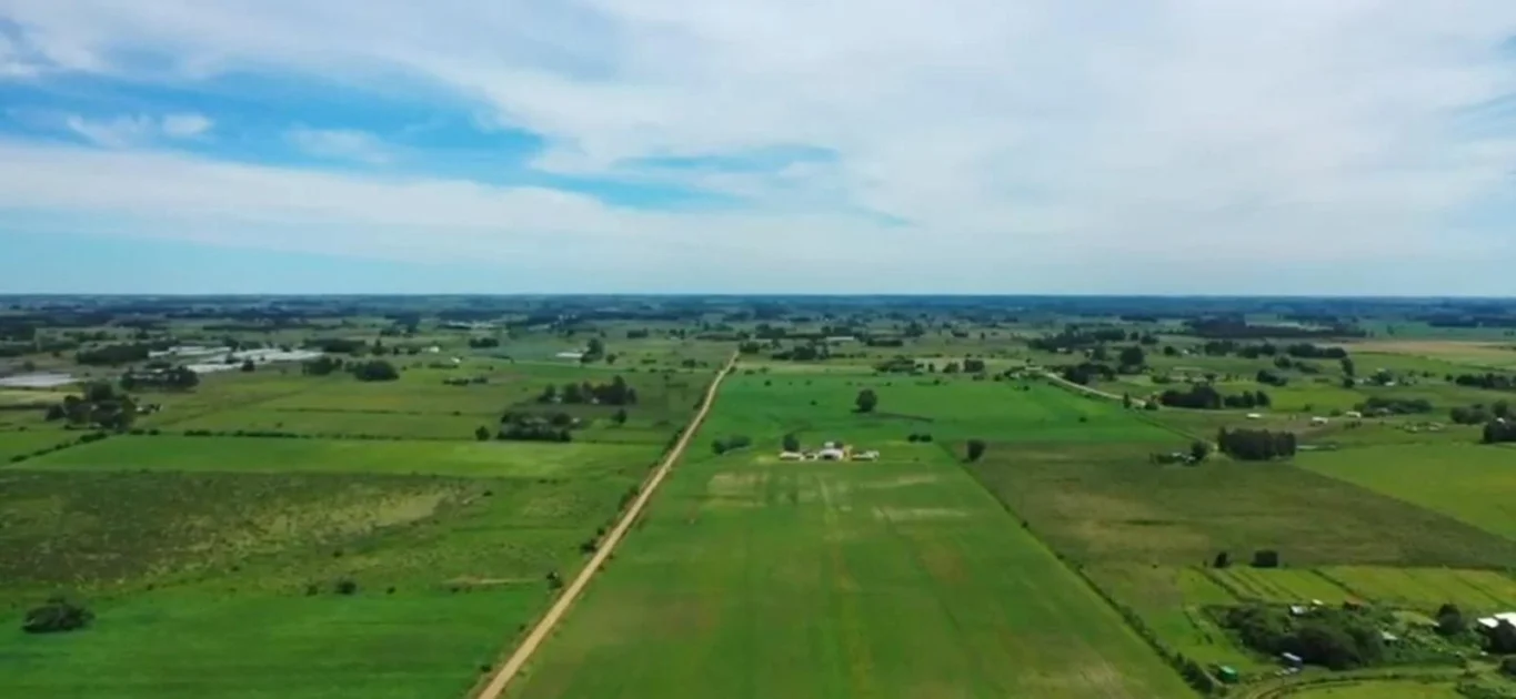 Campo en Santa Rosa, propiedad 295939 -Imagen 8