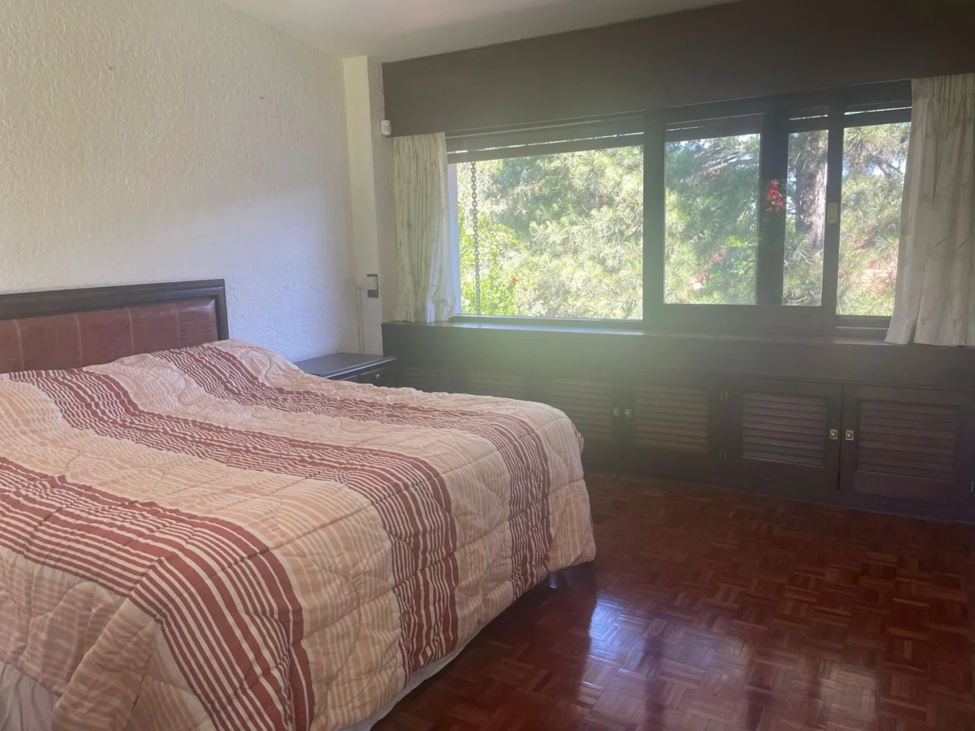Casa en Pinares, propiedad 296041 -Imagen 13