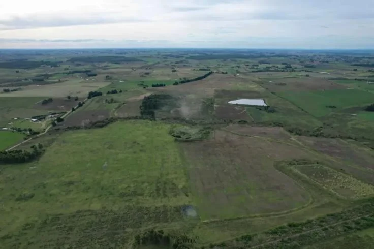 Campo en Migues, propiedad 296684 -Imagen 1