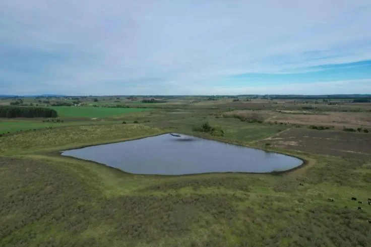 Campo en Migues, propiedad 296684 -Imagen 2