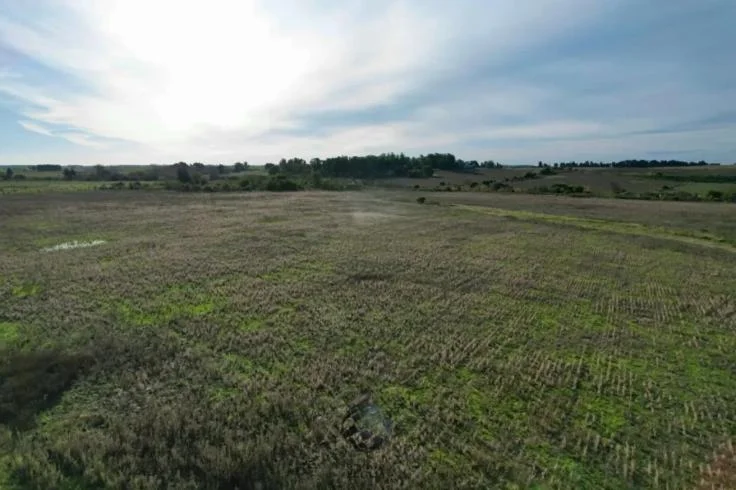 Campo en Migues, propiedad 296684 -Imagen 4