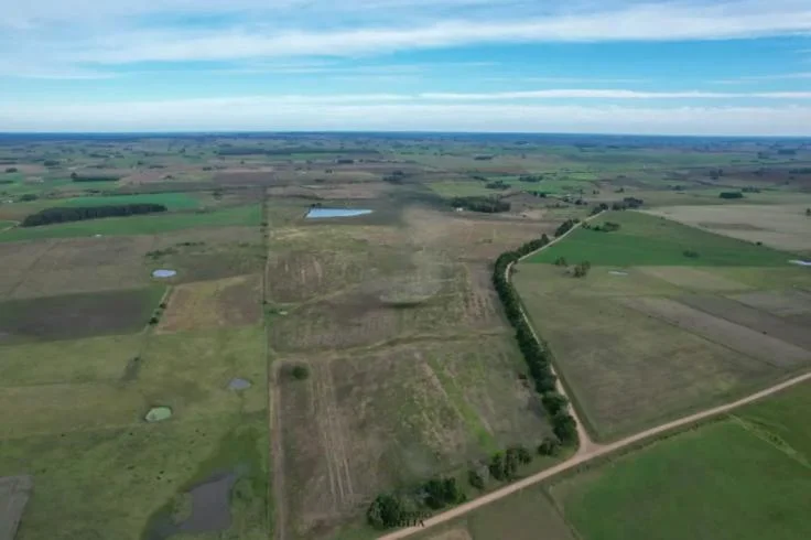 Campo en Migues, propiedad 296684 -Imagen 5