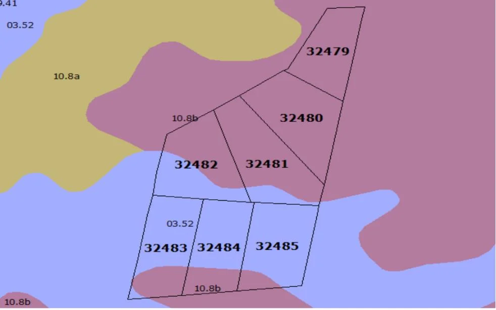 Campo en Migues, propiedad 296684 -Imagen 7