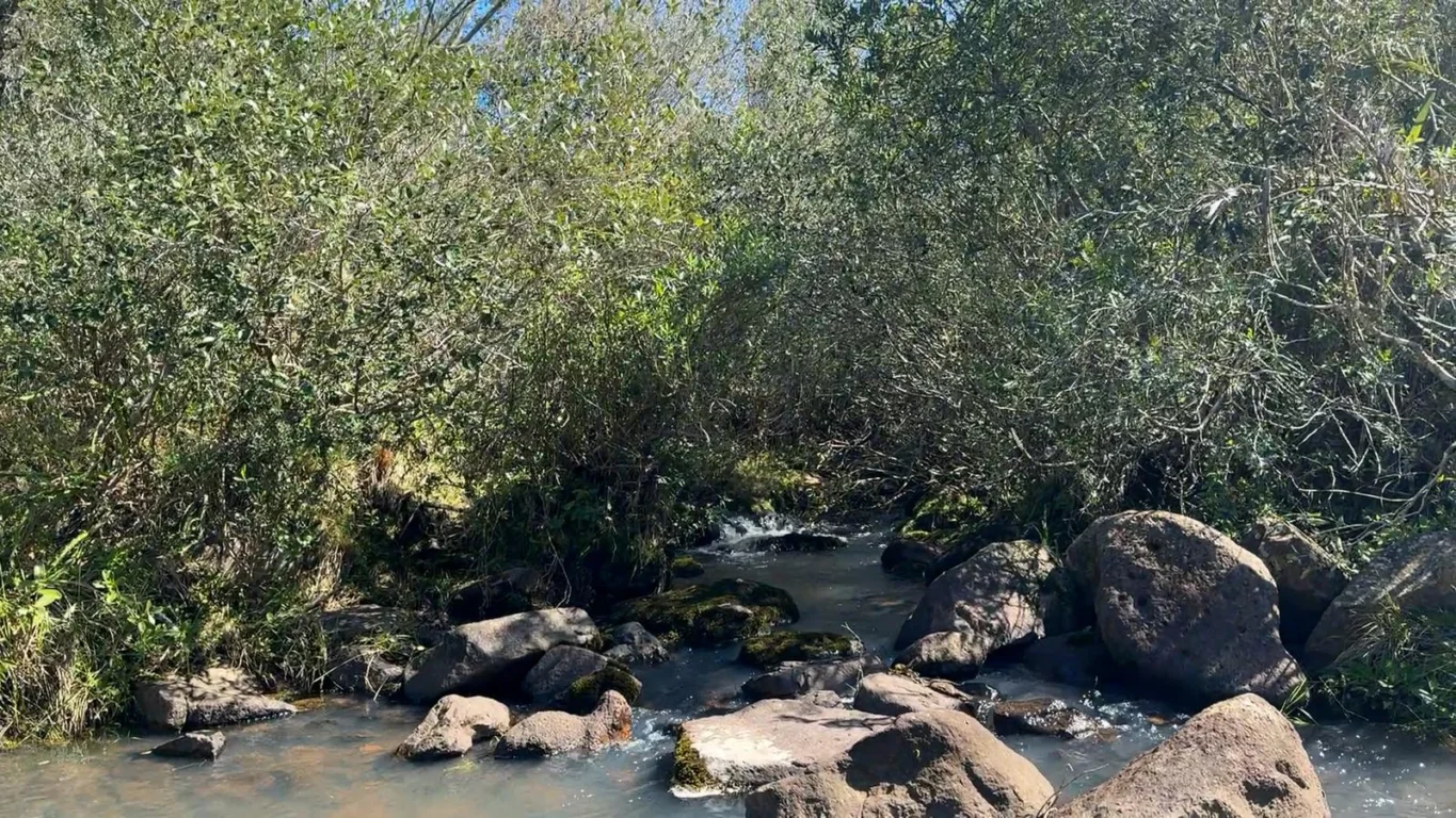 Chacra en Ruta 39, propiedad 296933 -Imagen 2