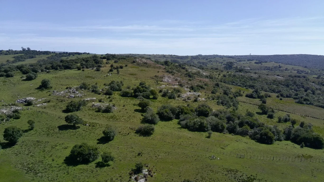 Chacra en Ruta 39, propiedad 296933 -Imagen 11
