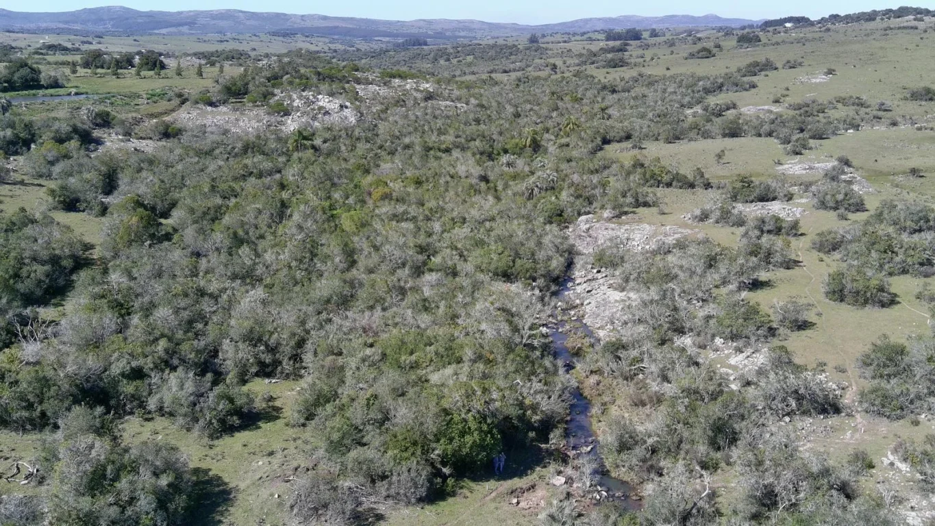 Chacra en Ruta 39, propiedad 296933 -Imagen 12