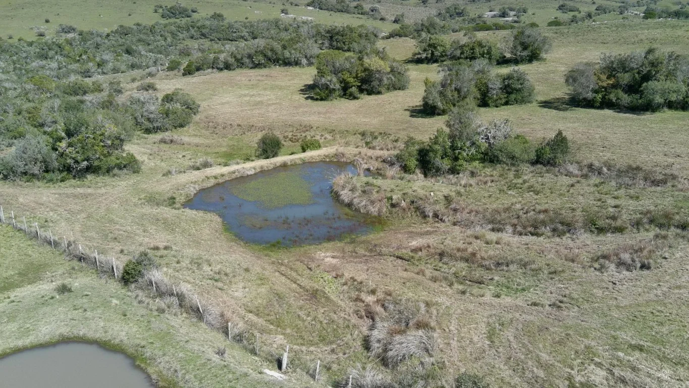 Chacra en Ruta 39, propiedad 296933 -Imagen 13