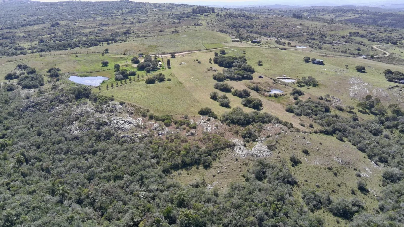 Chacra en Ruta 39, propiedad 296933 -Imagen 14