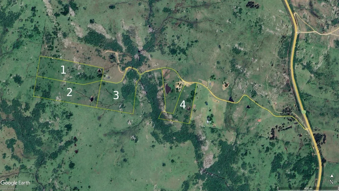 Chacra en Ruta 39, propiedad 296933 -Imagen 15