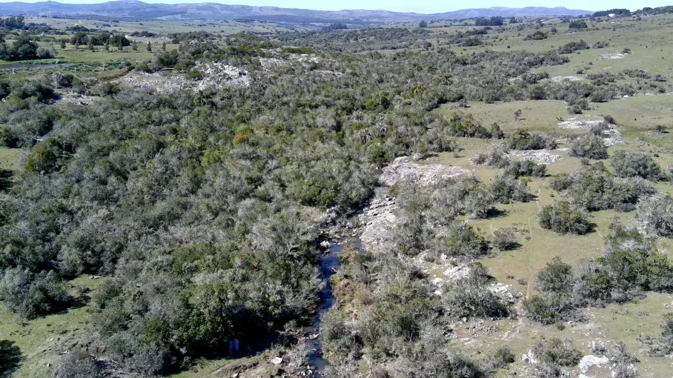 Chacra en Ruta 39, propiedad 296933 -Imagen 3