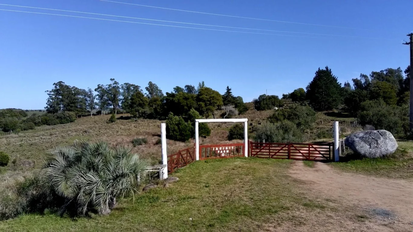 Chacra en Ruta 39, propiedad 296933 -Imagen 4