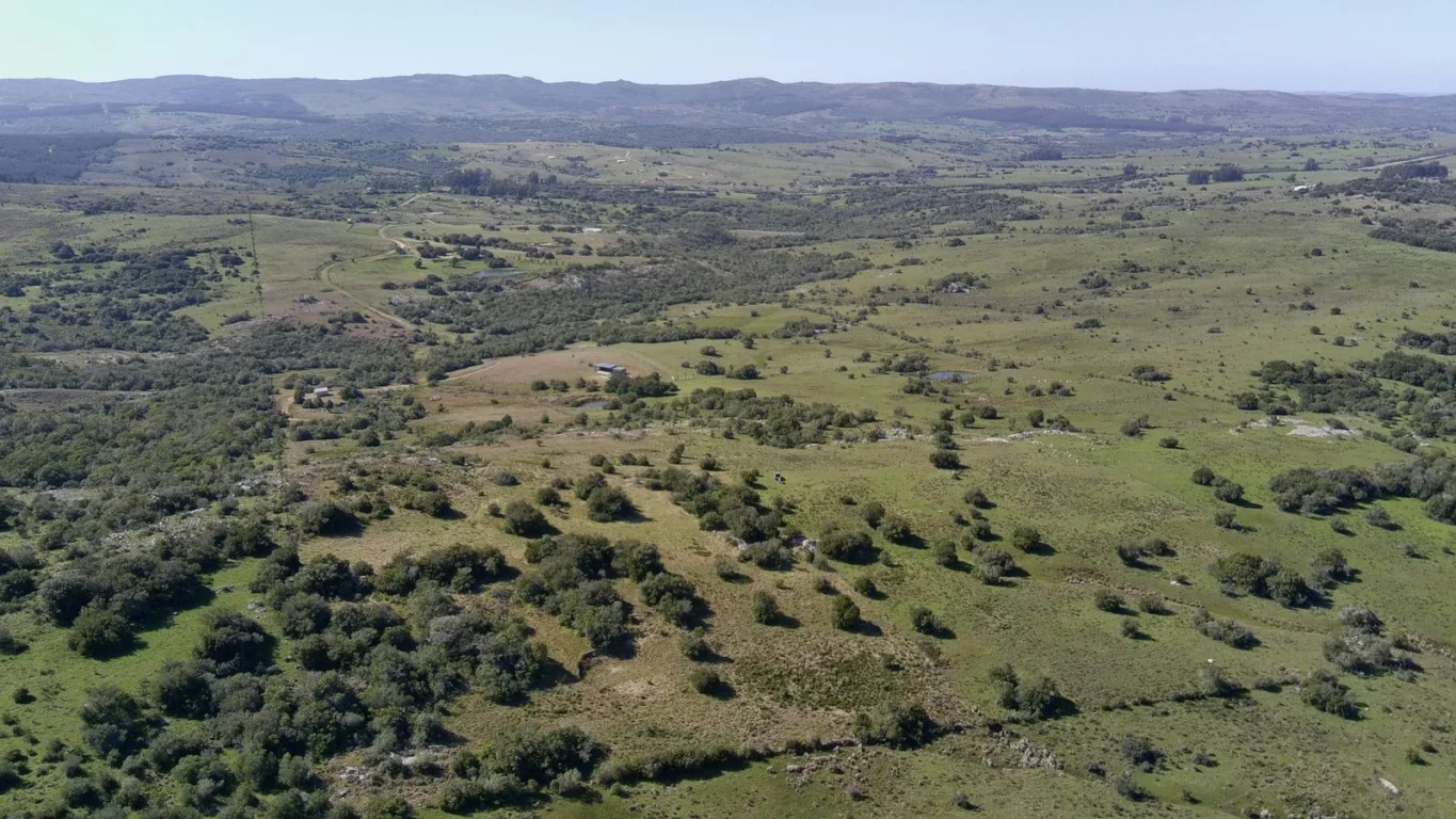 Chacra en Ruta 39, propiedad 296933 -Imagen 8