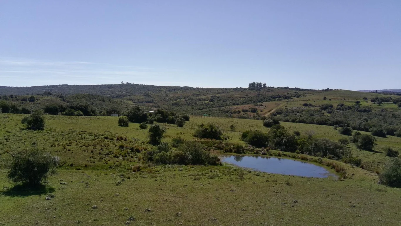 Chacra en Ruta 39, propiedad 296933 -Imagen 9