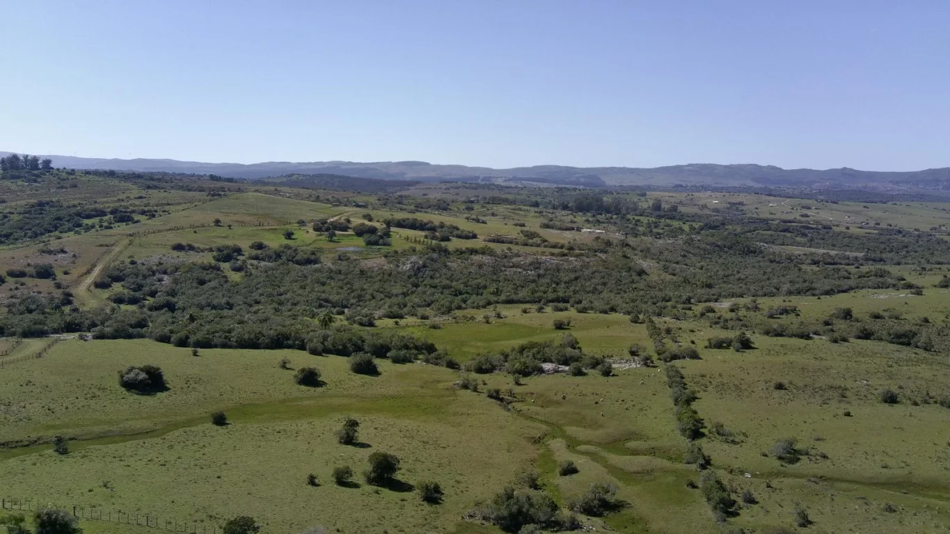 Chacra en Ruta 39, propiedad 296933 -Imagen 10