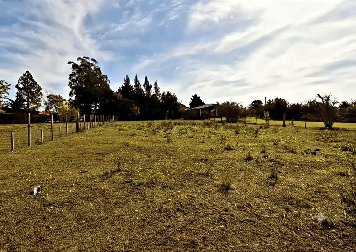 Terreno en Nueva Helvecia, propiedad 297777 -Imagen 2
