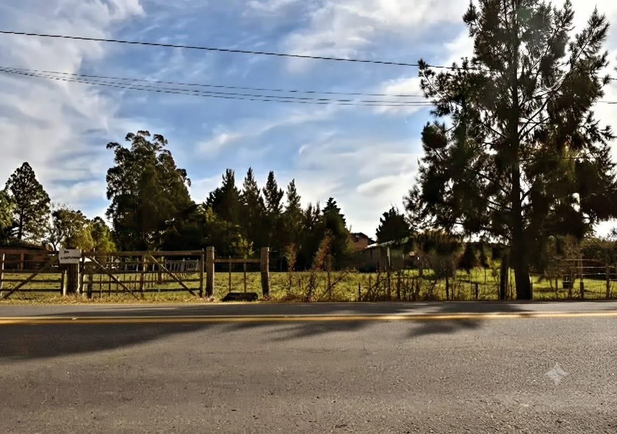 Terreno en Nueva Helvecia, propiedad 297777 -Imagen 4