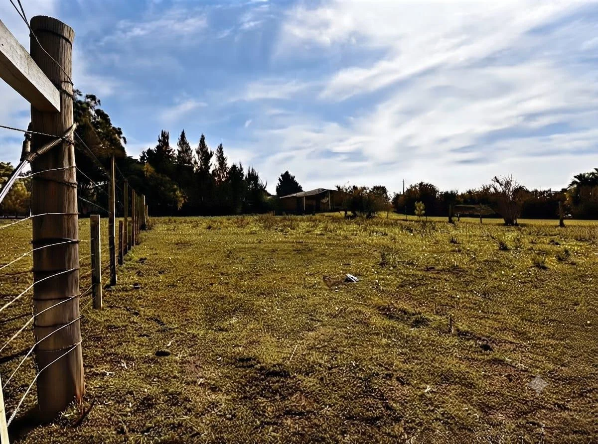 Terreno en Nueva Helvecia, propiedad 297777 -Imagen 5