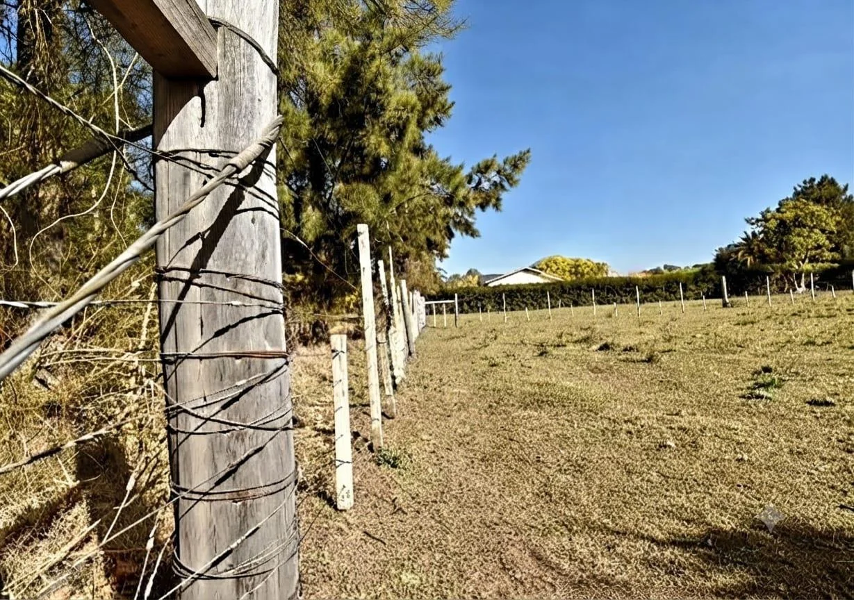 Terreno en Nueva Helvecia, propiedad 297777 -Imagen 6