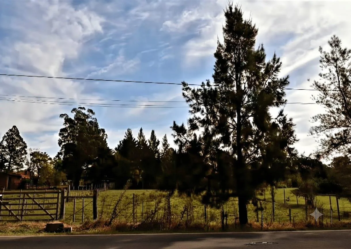 Terreno en Nueva Helvecia, propiedad 297777 -Imagen 7