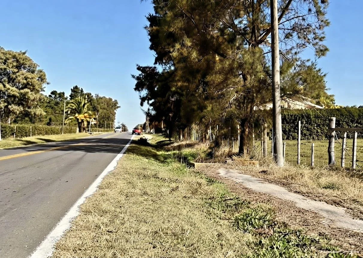 Terreno en Nueva Helvecia, propiedad 297777 -Imagen 8