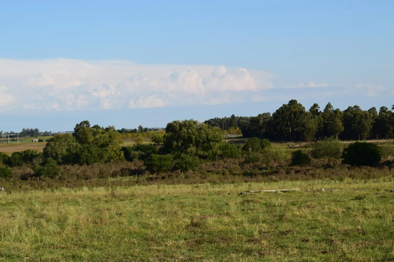 Chacra en Santa Rosa, propiedad 298030 -Imagen 6