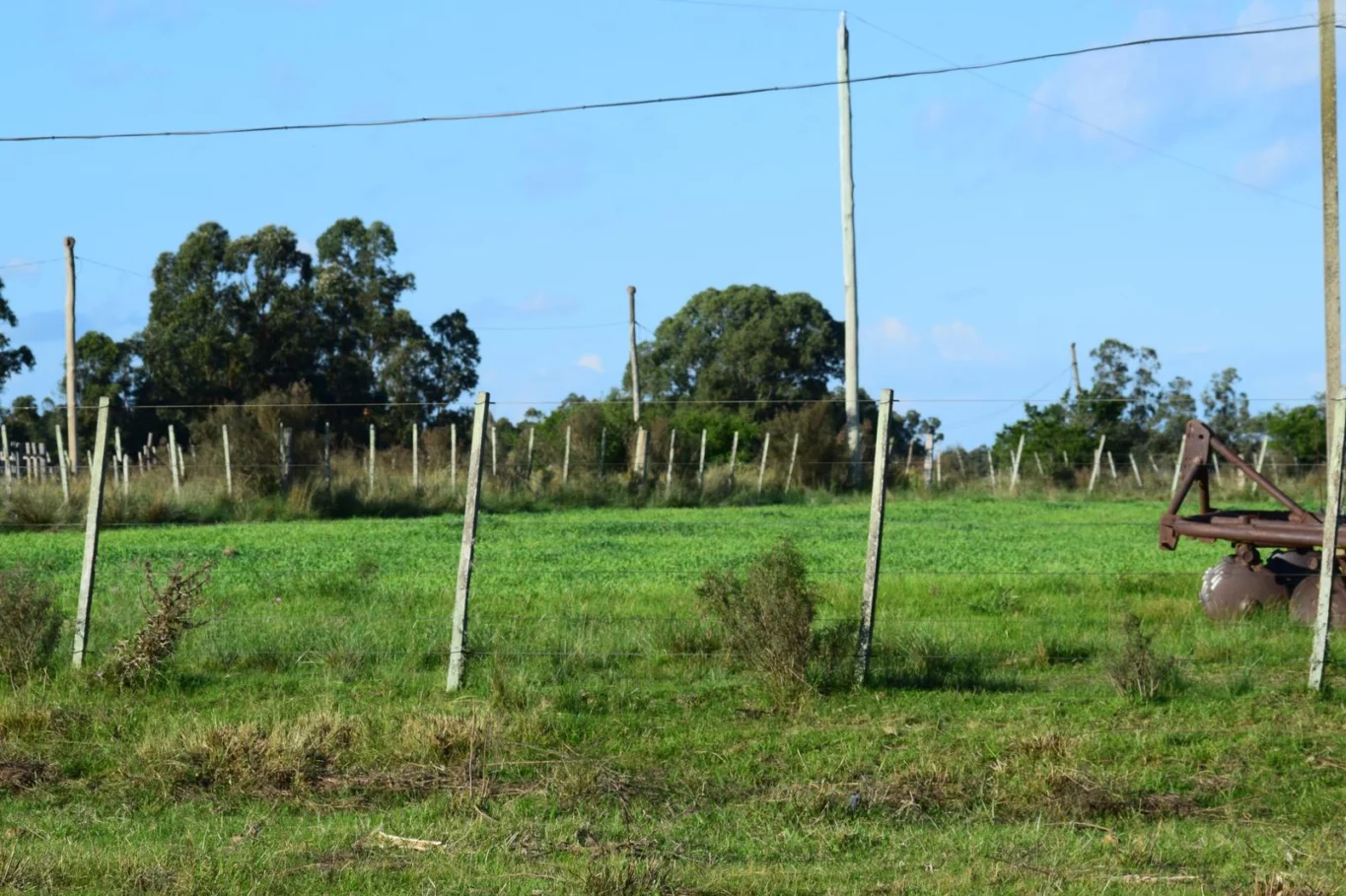 Chacra en Santa Rosa, propiedad 298030 -Imagen 1