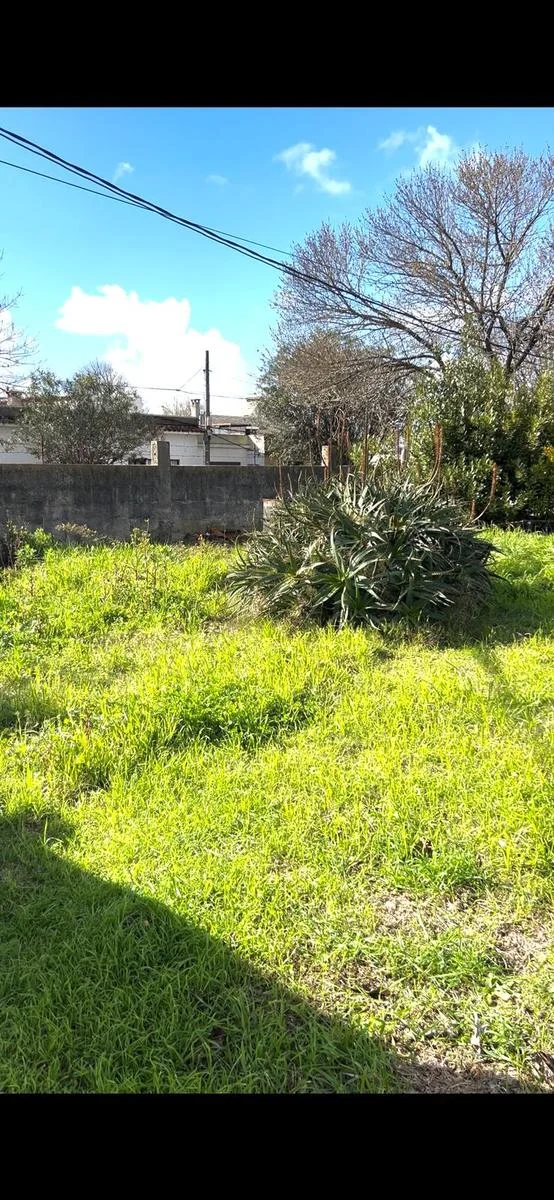 Depósito en Centro, propiedad 298031 -Imagen 11