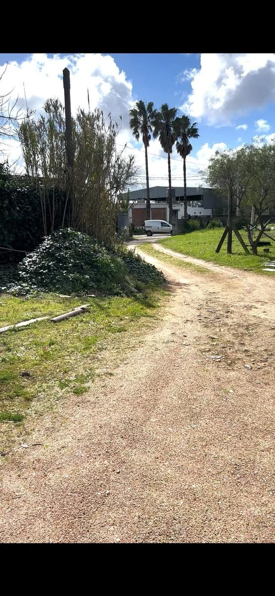 Depósito en Centro, propiedad 298031 -Imagen 4