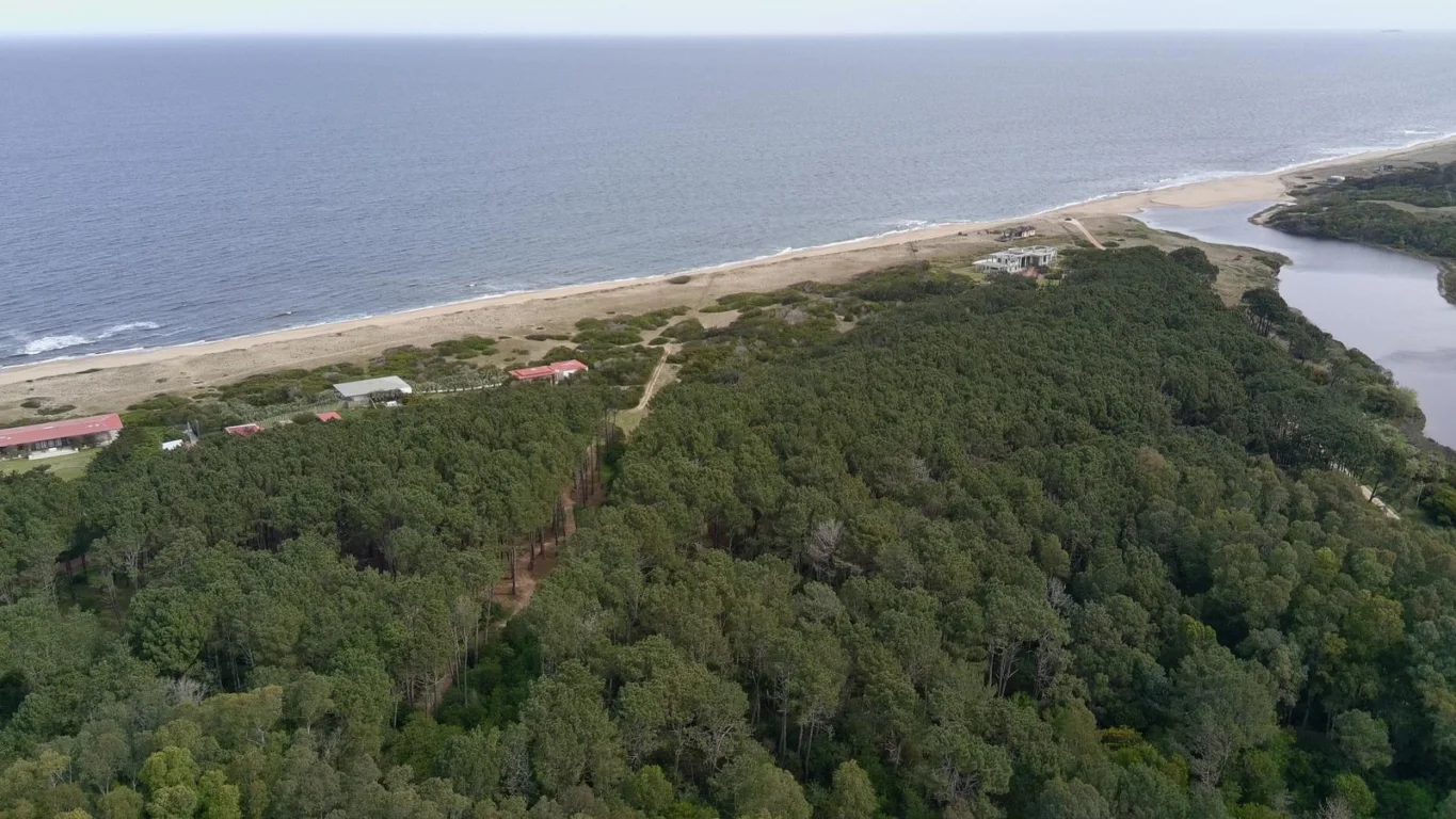 Chacra en Ocean Park, propiedad 298398 -Imagen 5