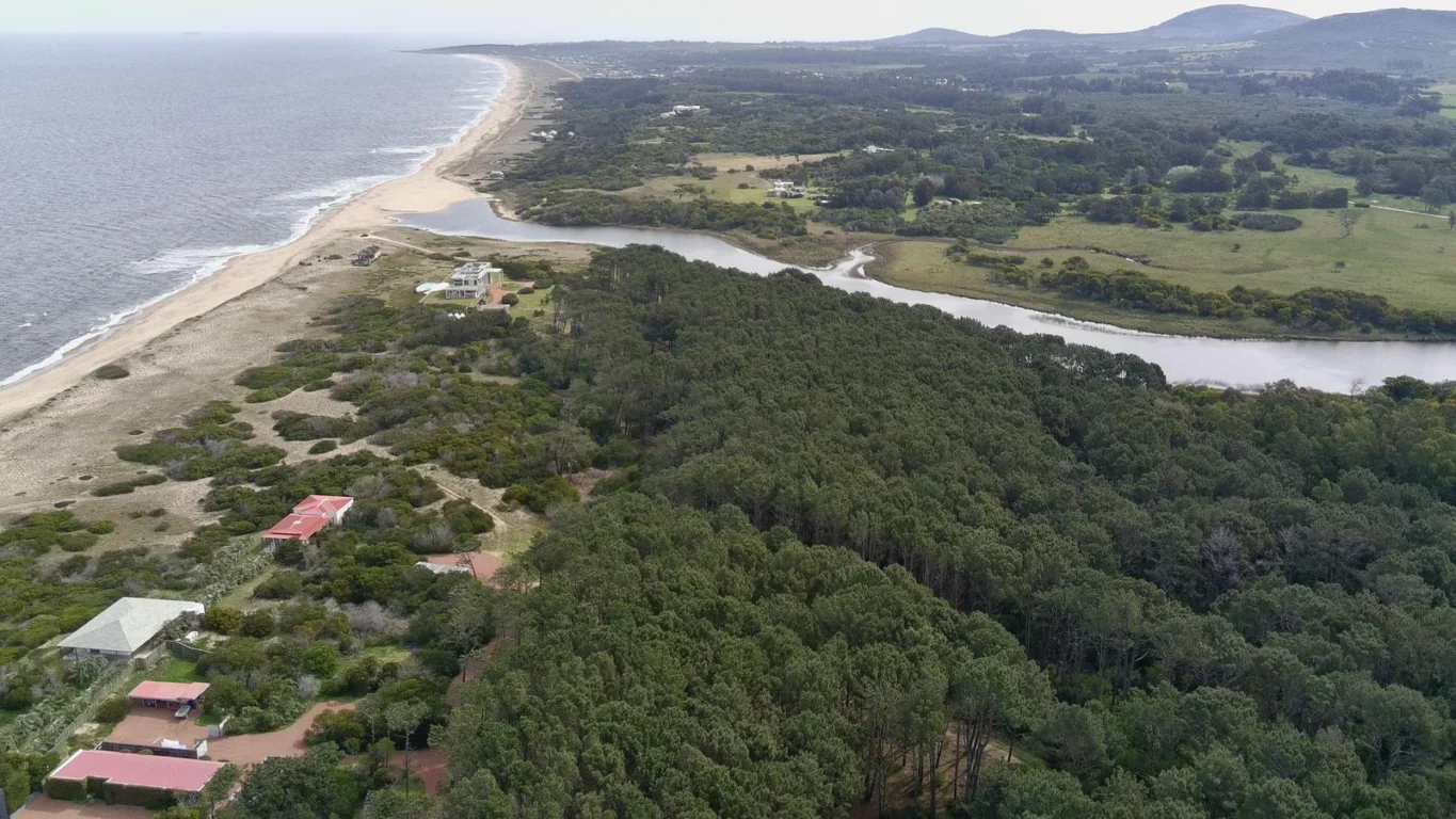 Chacra en Ocean Park, propiedad 298398 -Imagen 6