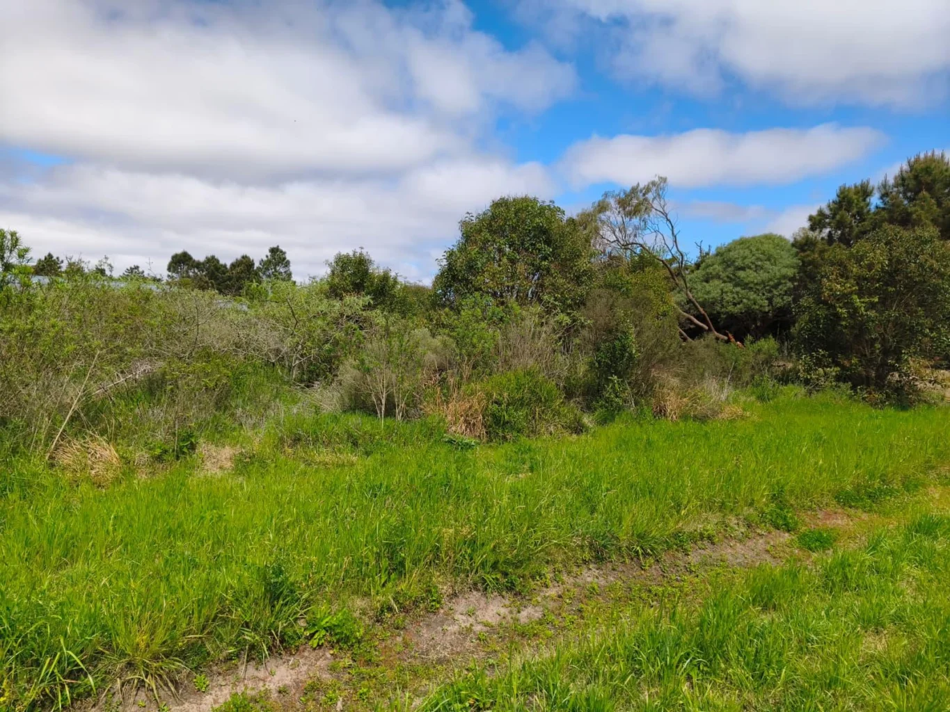 Terreno en Los Pinos, propiedad 300914 -Imagen 11