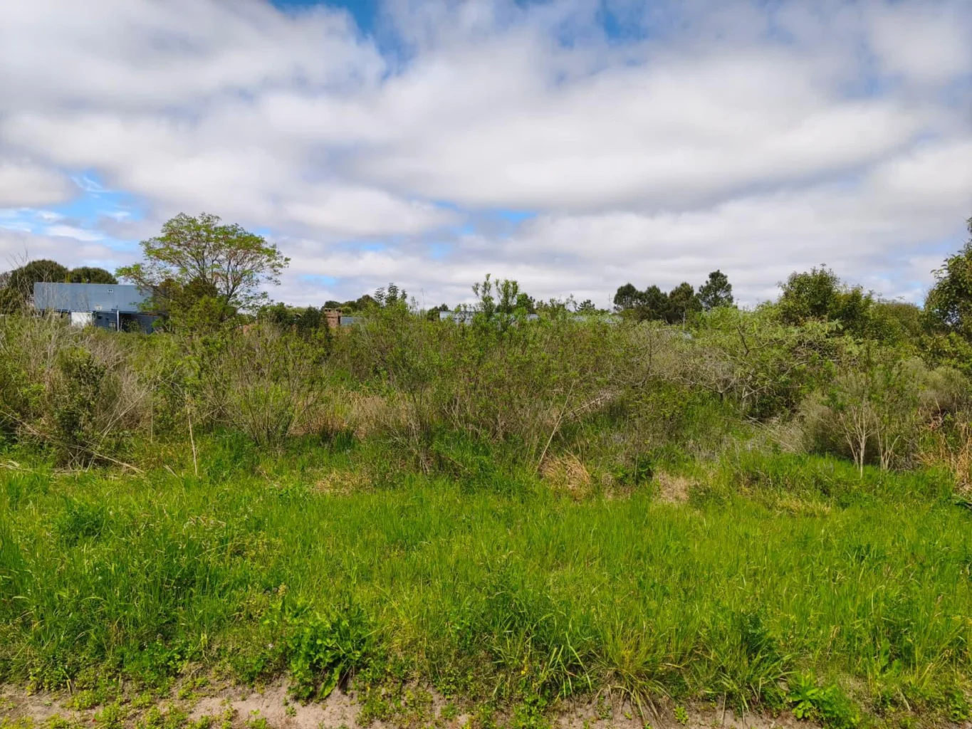 Terreno en Los Pinos, propiedad 300914 -Imagen 12