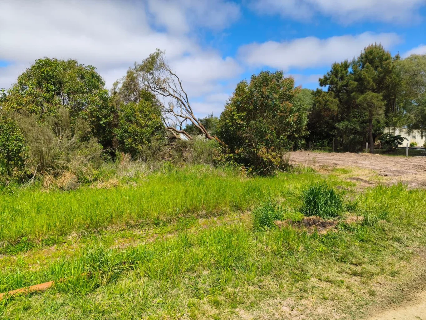 Terreno en Los Pinos, propiedad 300914 -Imagen 13