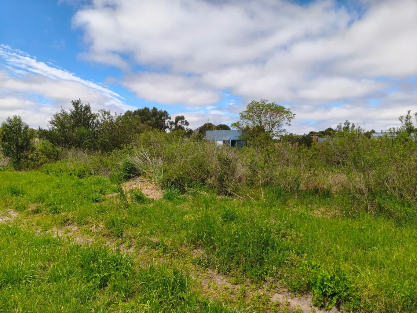 Terreno en Los Pinos, propiedad 300914 -Imagen 4
