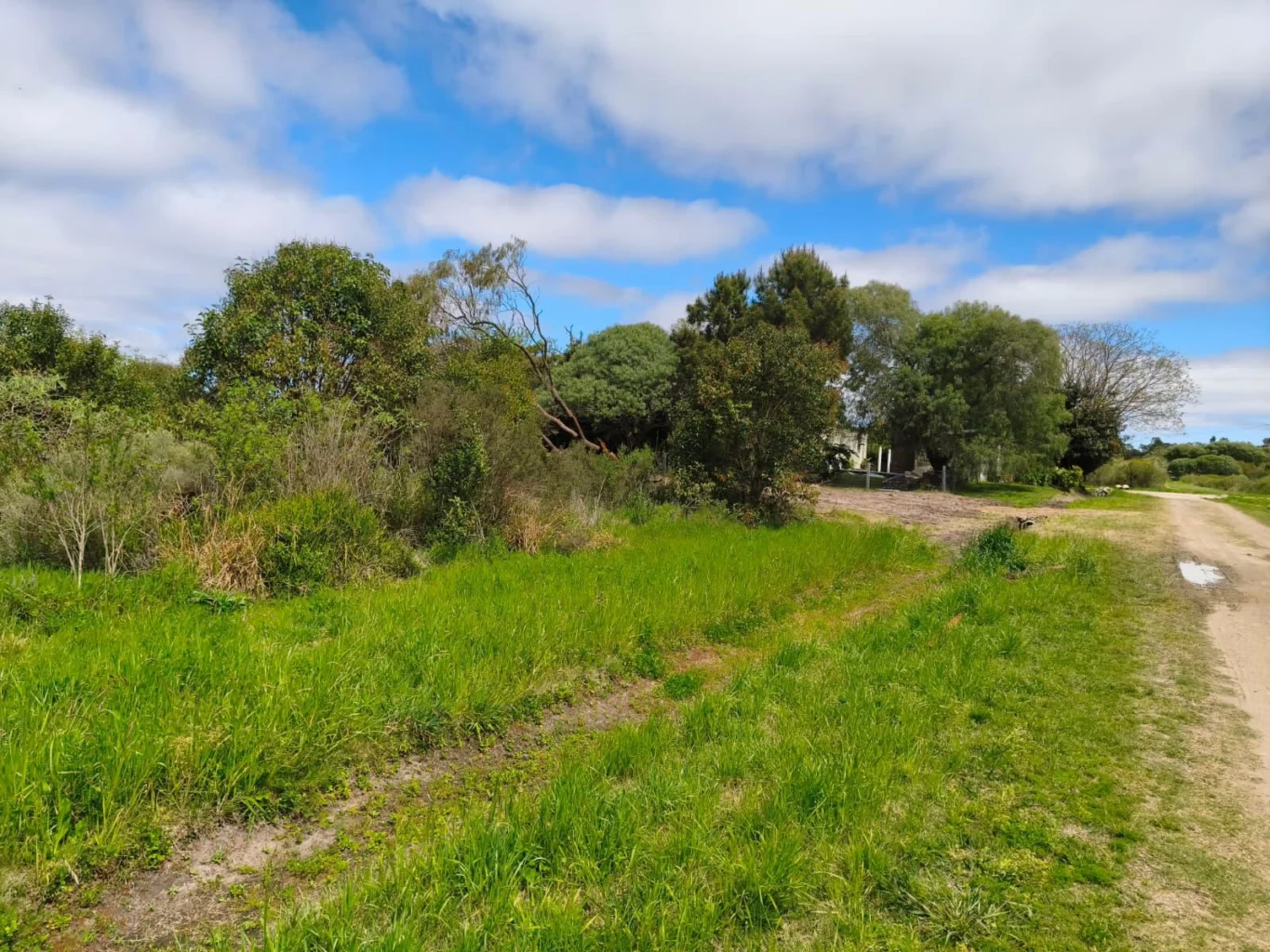 Terreno en Los Pinos, propiedad 300914 -Imagen 7