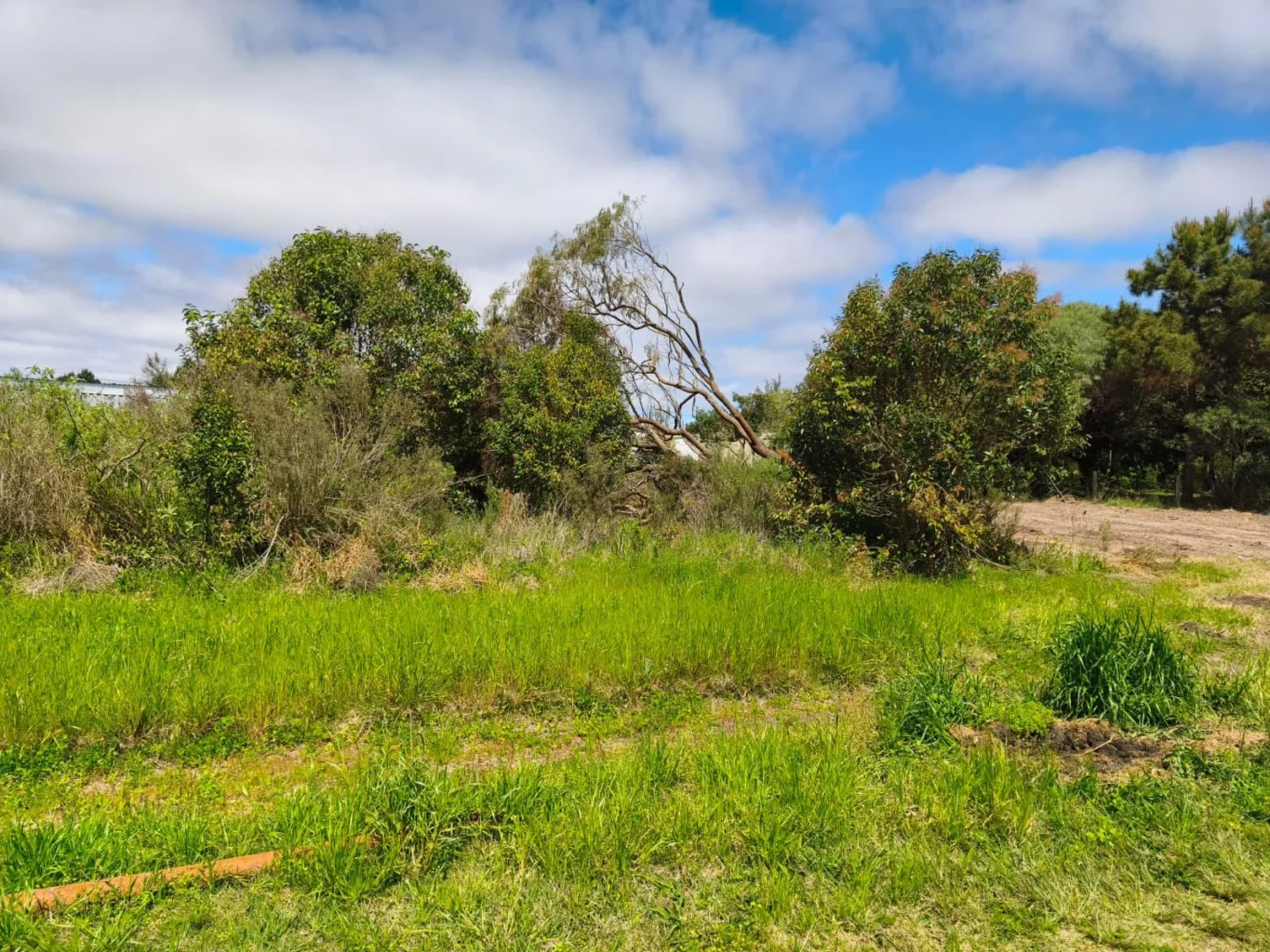 Terreno en Los Pinos, propiedad 300914 -Imagen 8